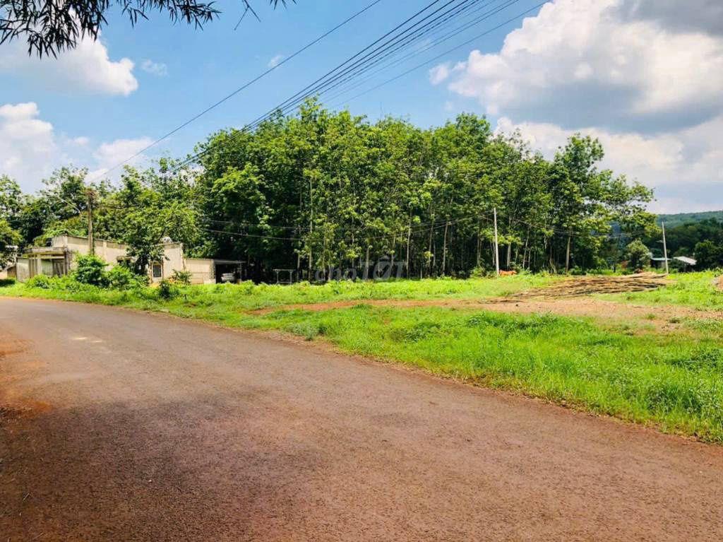 Đất 250m² có thổ cư, sát chợ, giá 480 triệu