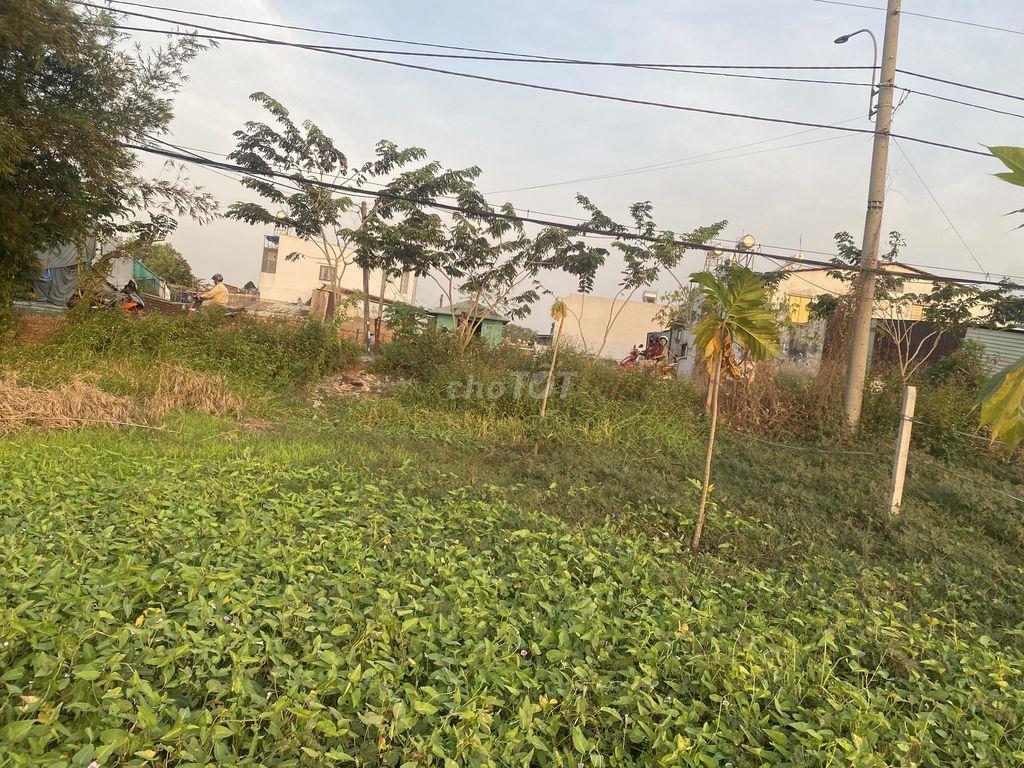 Ban đất chính chủ