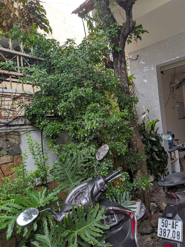 Cho thuê mặt bằng kinh doanh