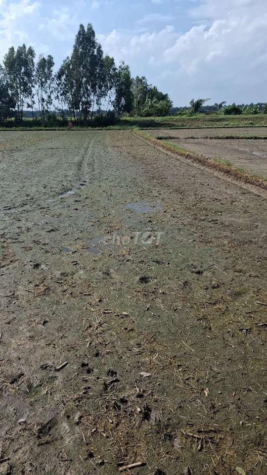 đất cần bán