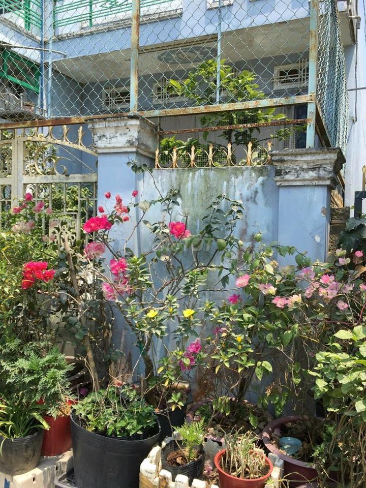 Bà Cô đi Mỹ gửi bán Căn nhà
