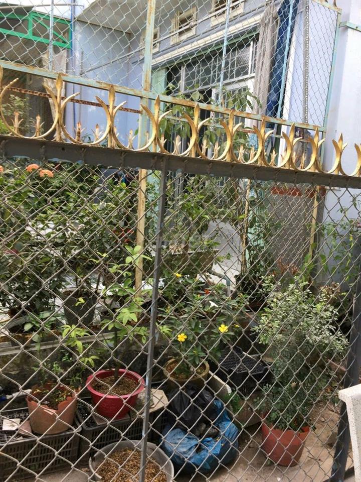 Bà Cô đi Mỹ gửi bán Căn nhà