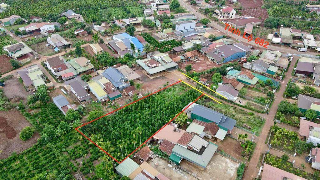 CẦN BÁN LÔ ĐẤT 20 x 75 ( nở hậu 27)
