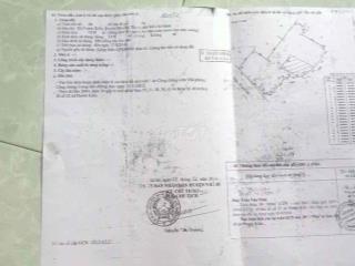 cần bán đất gấp hẻm 1419