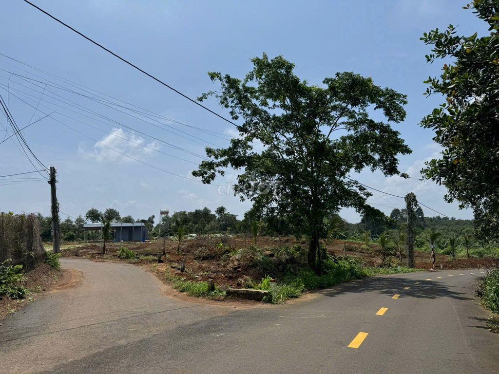 BÁN NHANH LÔ ĐẤT NÔNG NGHIỆP 6 SÀO  VỊ TRÍ CỰC ĐẸP TẠI KIM LONG , BRVT
