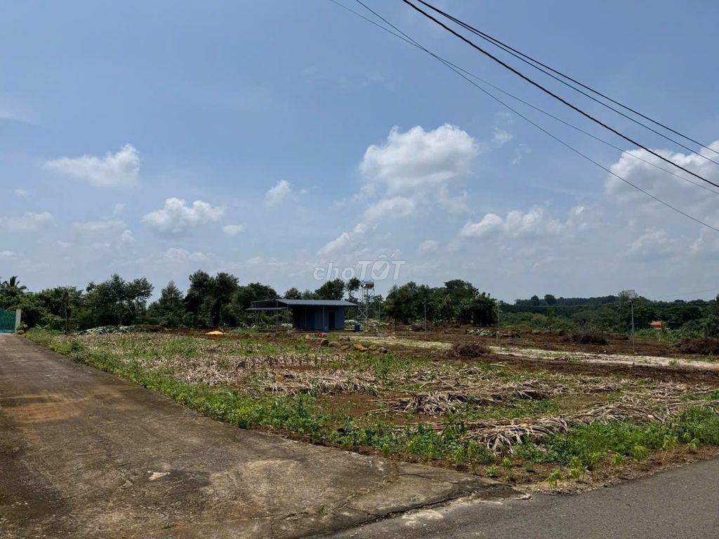 BÁN NHANH LÔ ĐẤT NÔNG NGHIỆP 6 SÀO  VỊ TRÍ CỰC ĐẸP TẠI KIM LONG , BRVT