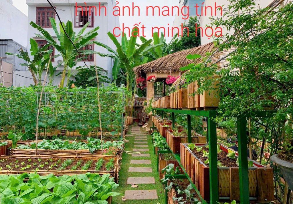 Tài chính chỉ khoảng hơn tỷ là sở hữu ngay lô đất 157m2 tại Hòa Nghĩa