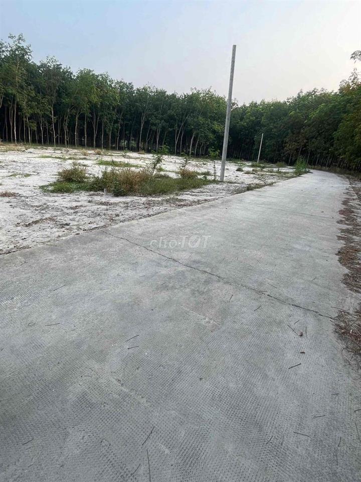 lô đất gần KCN Minh Hưng