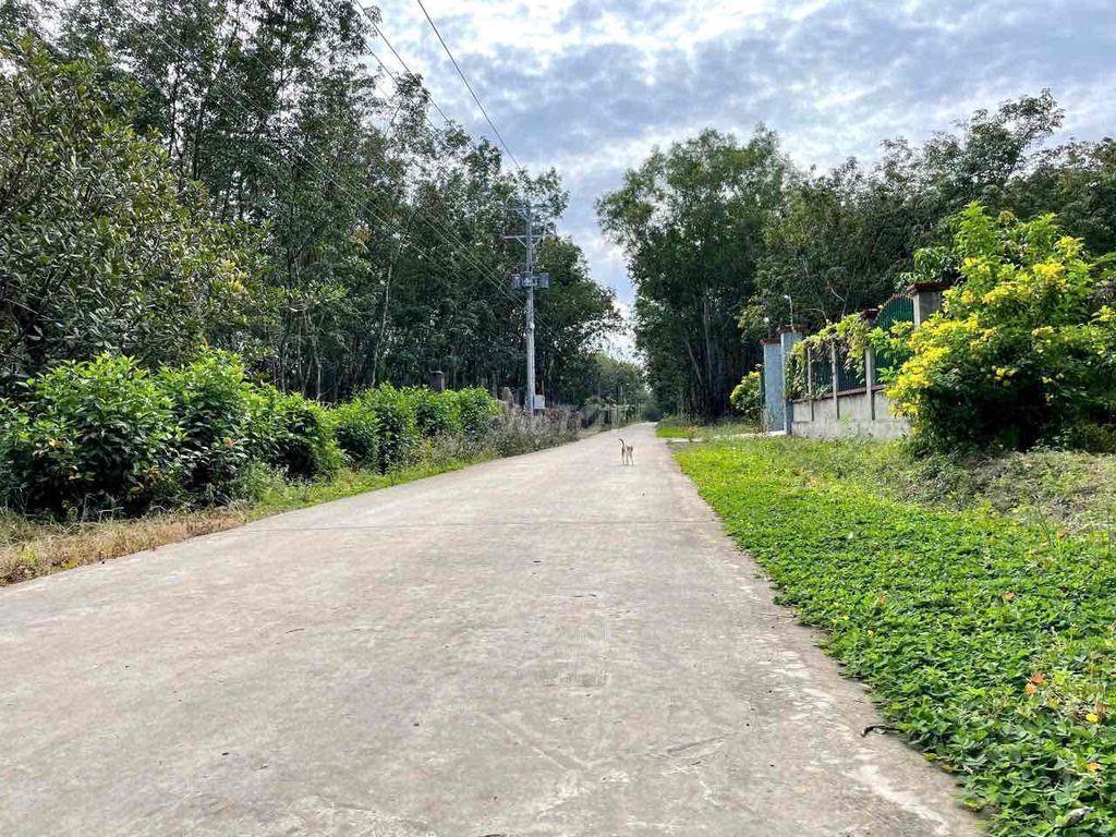 bán đất