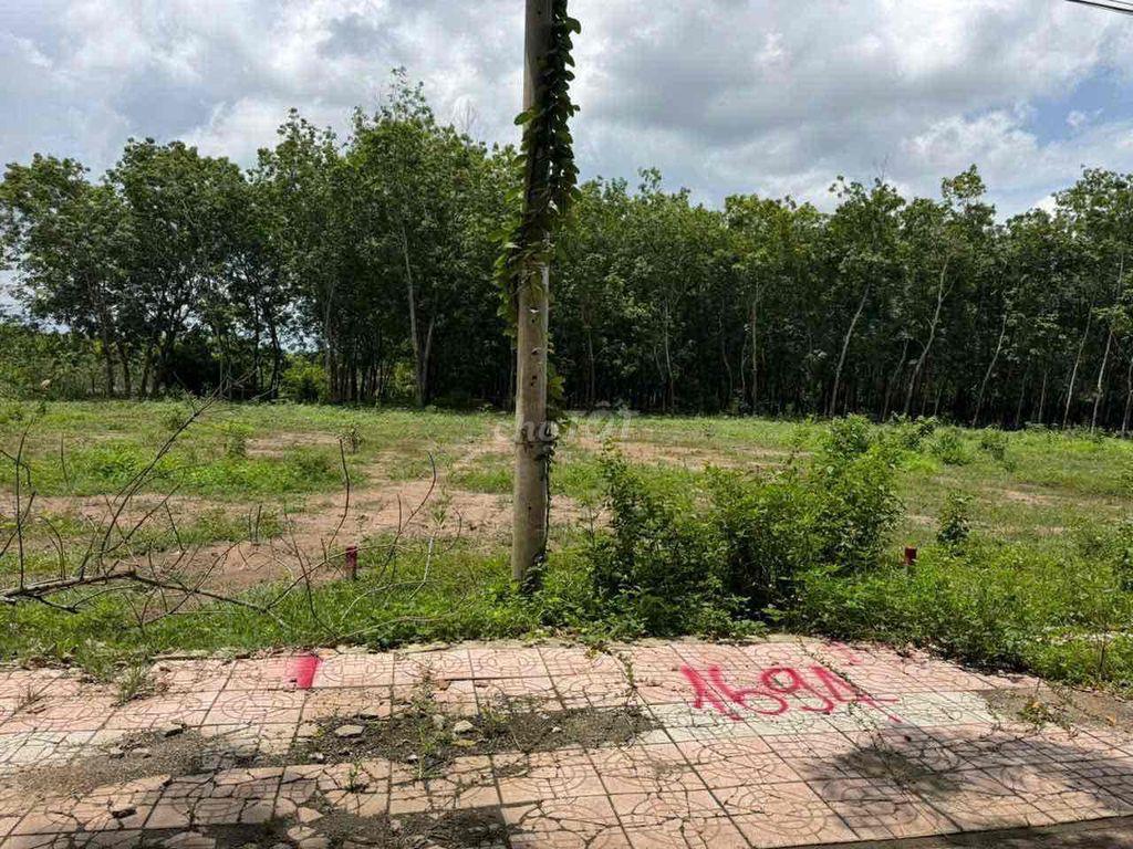 bán đất