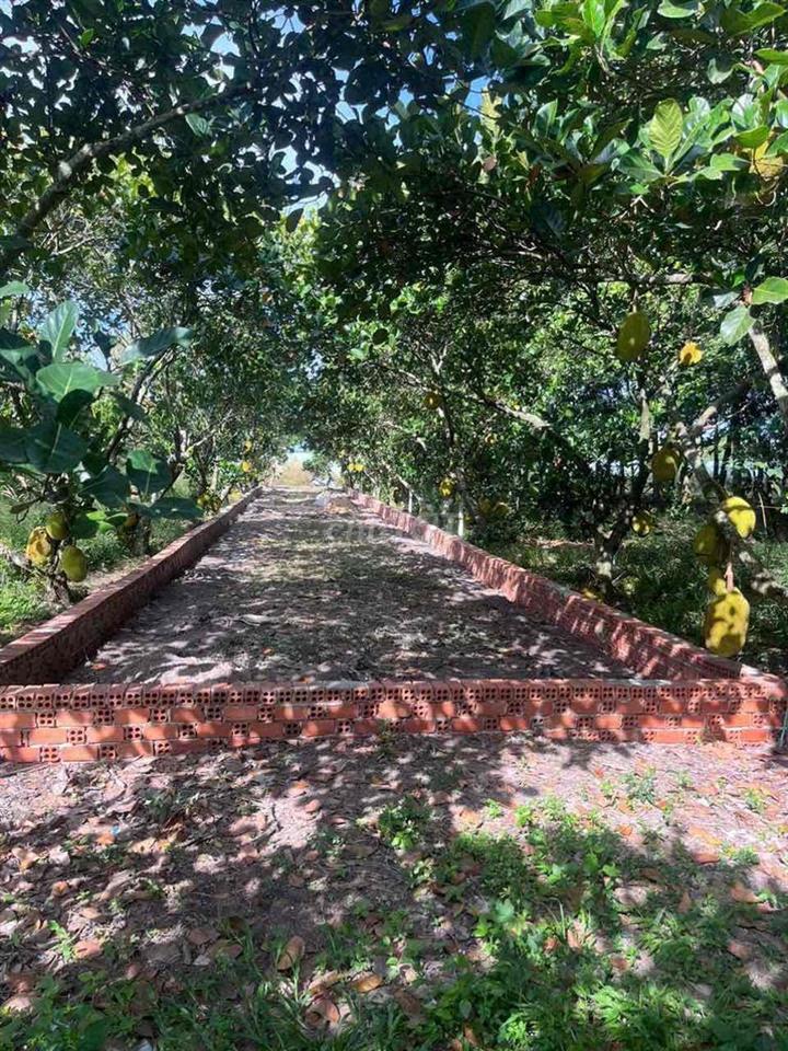 bán đất cách nguyễn văn linh 500m