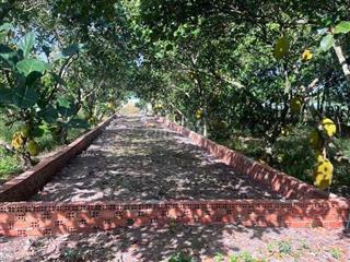 bán đất cách nguyễn văn linh 500m