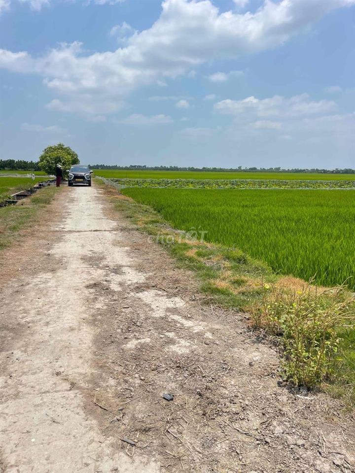cần bán gấp