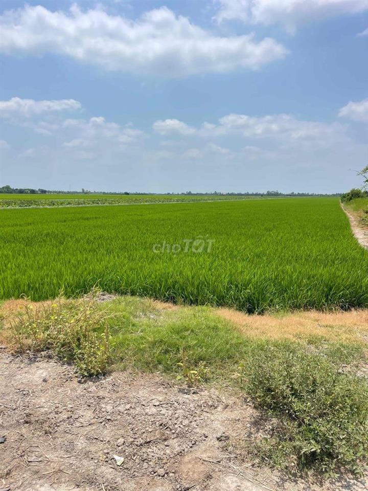 cần bán gấp