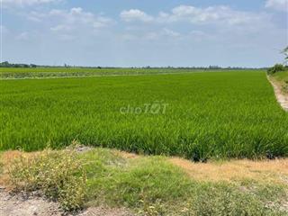 cần bán gấp