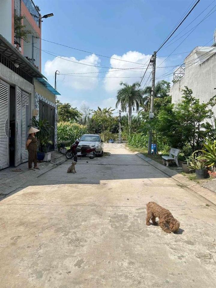 Đất thổ cư đường số 8 Lò Lu
