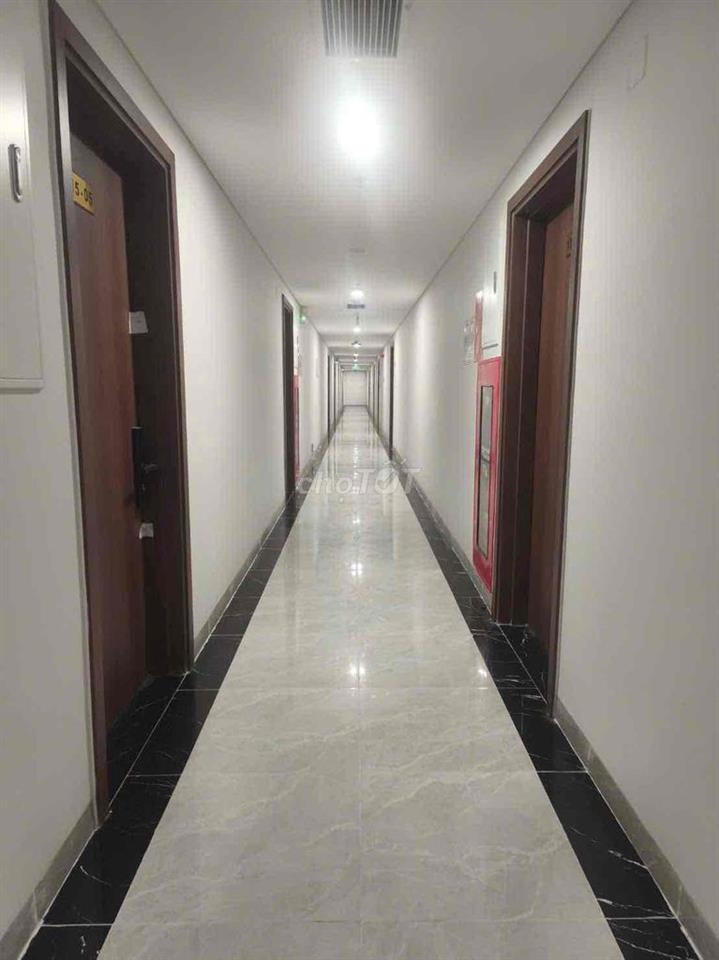 Căn hộ Mia Center Point