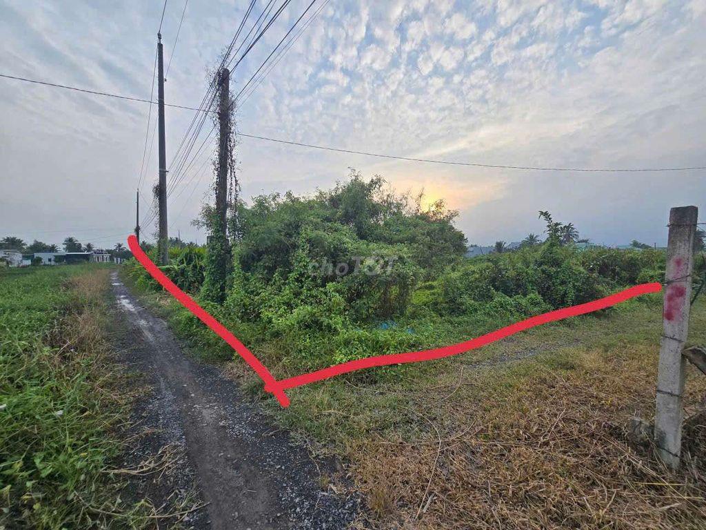 Cần Bán Gấp Lô Đất Full Thổ Cư Giá Rẻ