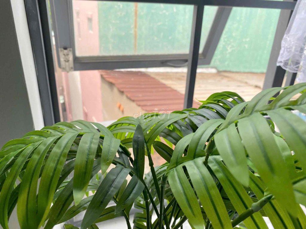 Duplex Ngay Đại Học Bách Khoa
