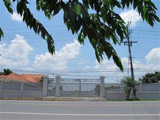 đất đang trống cuo người thiện chí thuê làm cty hoac xương