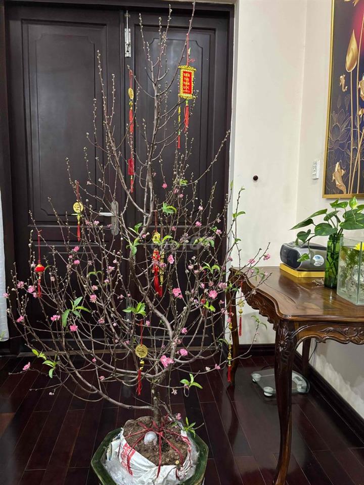 Nhà 3 mặt tiền thoáng mát giá rẽ