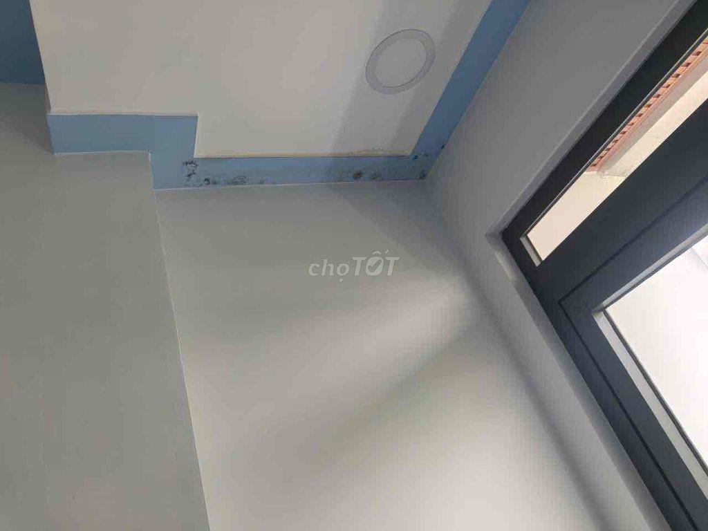 Nhà hẻm 205 Huỳnh Tấn Phát ( gần KCX ),Q7