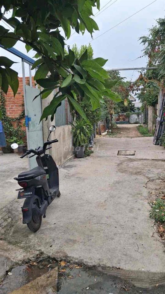 CHÍNH CHỦ CHO THUÊ NHÀ CẤP 4 GẦN CẦU BƯNG