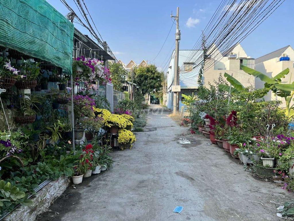 Đất Thổ Cư 5x19 SHR Xây Dựng Tự Do