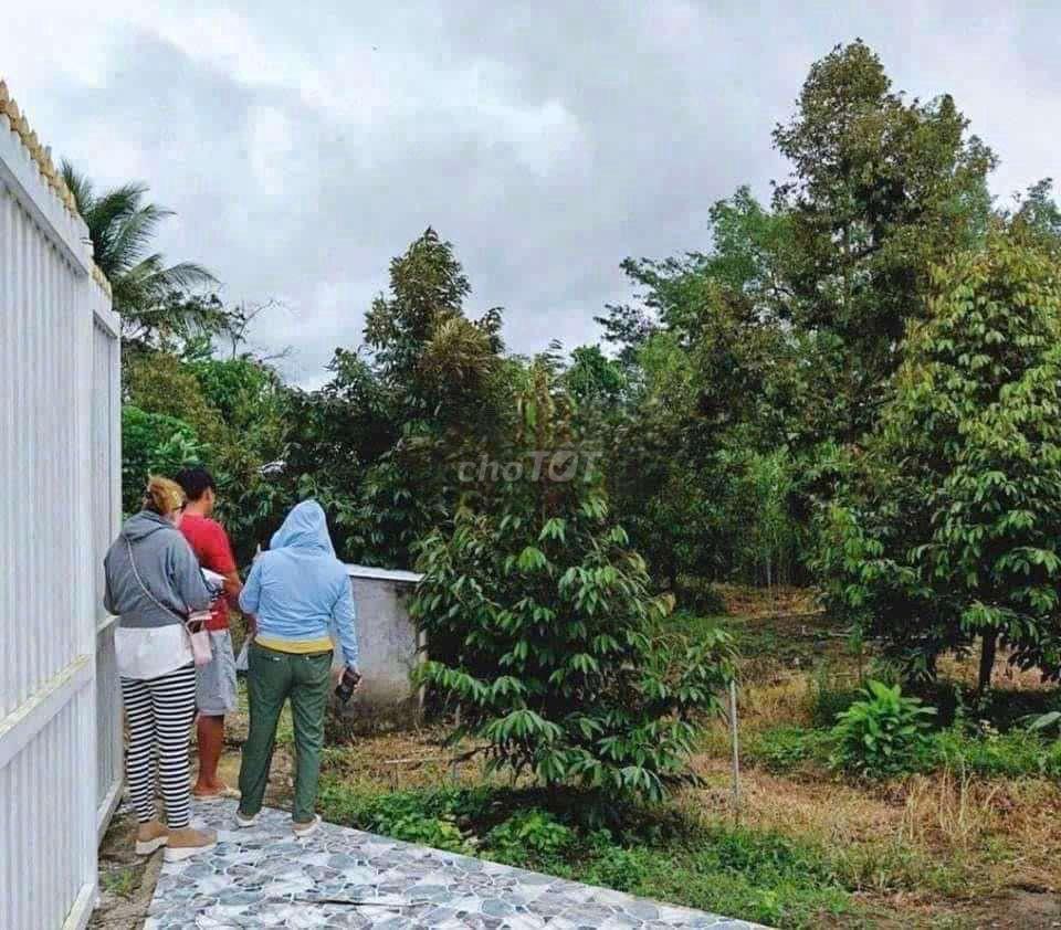 BÁN GẤP NHÀ VƯỜN CHUYỂN VỀ QUÊ