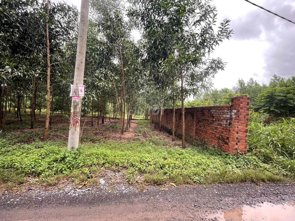 chính chủ bán 106m2 đất tại Tam Phước, Biên Hoà, Đồng Nai