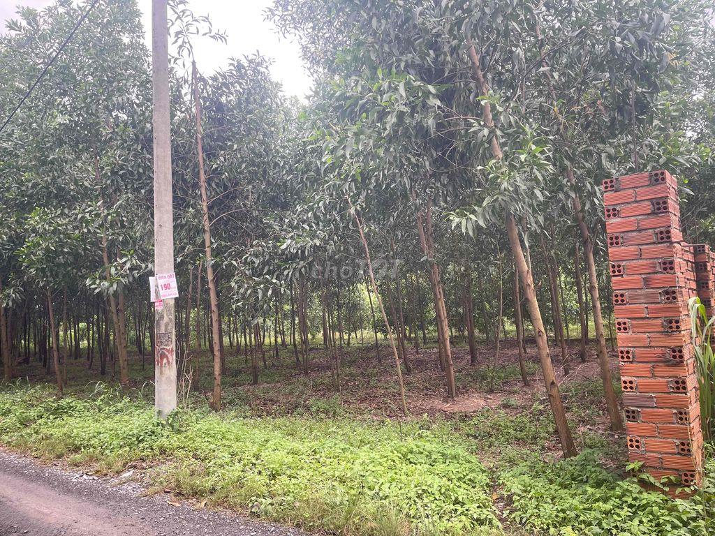 chính chủ bán 106m2 đất tại Tam Phước, Biên Hoà, Đồng Nai