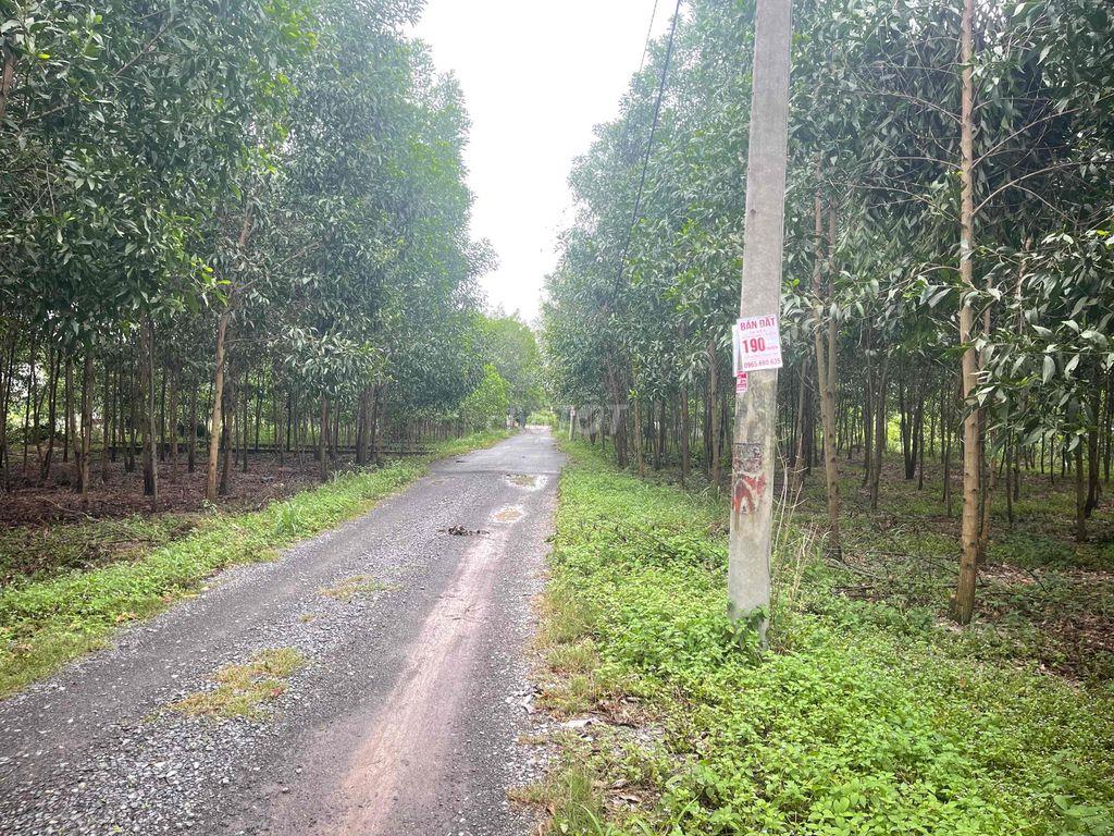 chính chủ bán 106m2 đất tại Tam Phước, Biên Hoà, Đồng Nai