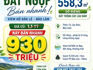 CHÍNH CHỦ NGỘP 980 TRIỆU – 558m² VIEW HỒ ĐẮK LÊ, BẢO LÂM