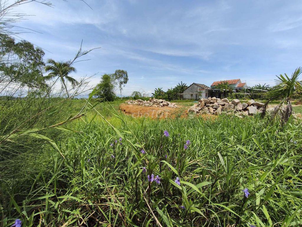 🏡 Đất Đẹp Xây Nhà – Sổ Hồng Chính Chủ – Cần Bán Gấp