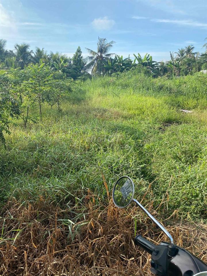 Đất nên thổ 222m Long Phước