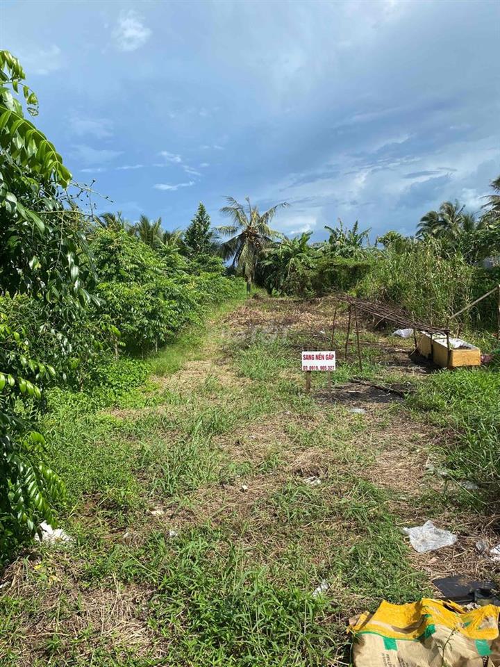 Đất nên thổ 222m Long Phước
