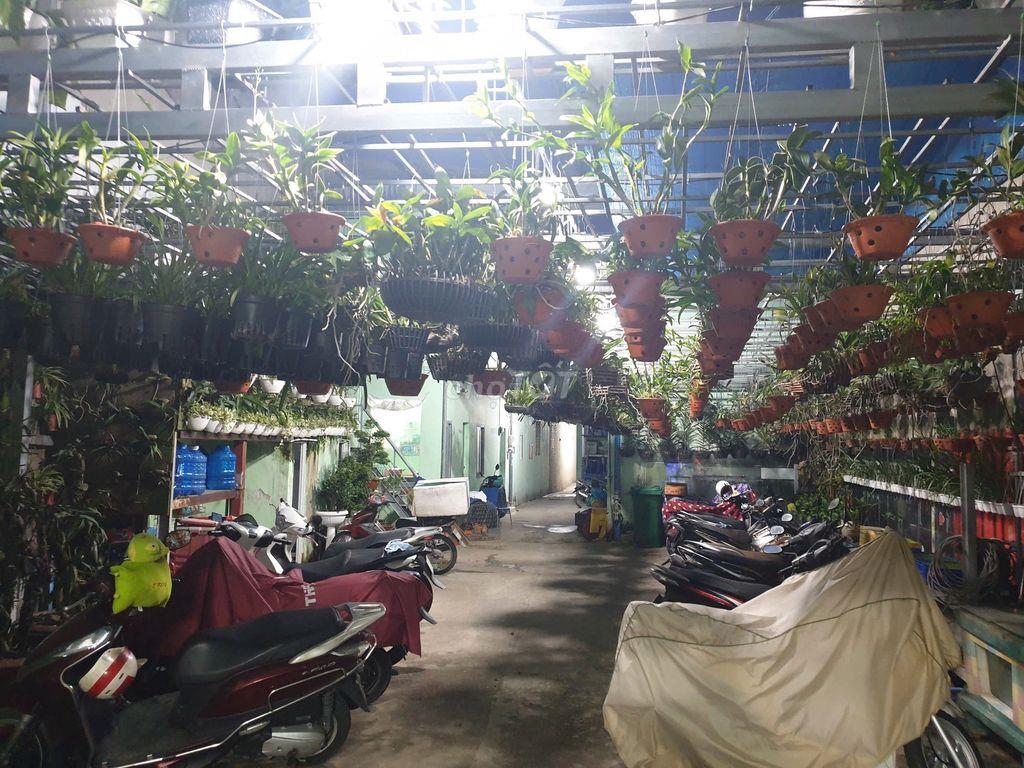 Nhà trọ Gò Vấp đưởng Quang Trung