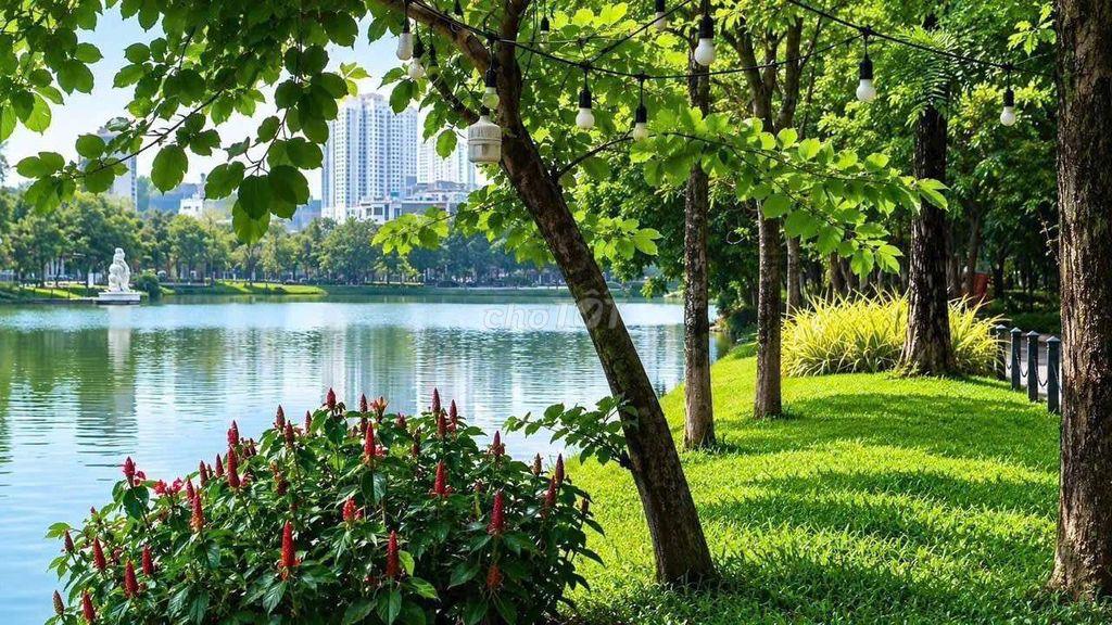 Cho Thuê Nhà Phố Full Nội Thất