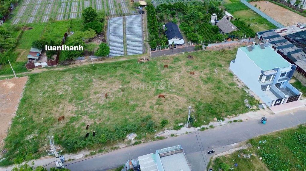 5 LÔ ĐẤT XUÂN THỚI THƯỢNG 20, BÀ ĐIÊM-HÓC MÔN ( 5×24) 100M² FULL THỔ 