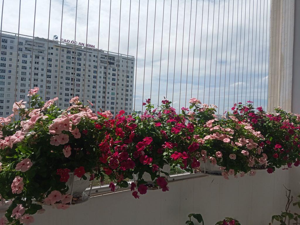 Cho thuê căn hộ chung cư 82m2 full nội thất