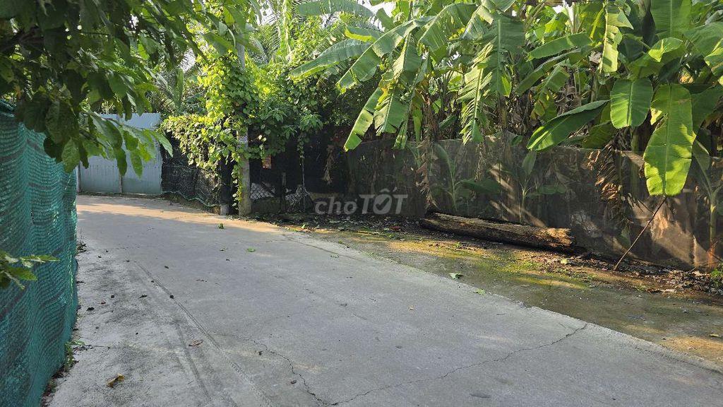 BÁN ĐẤT-ĐOÀN NGUYỄN TUẤN –Hưng Long - 125M² – NGANG 5M ×25
