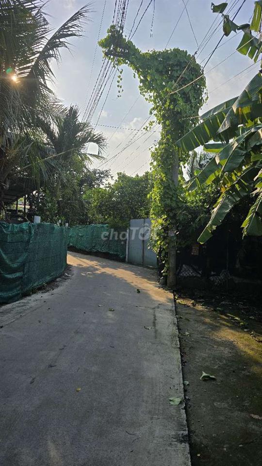 BÁN ĐẤT-ĐOÀN NGUYỄN TUẤN –Hưng Long - 125M² – NGANG 5M ×25