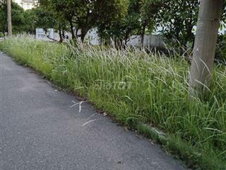 bán  đất  cần  giờ 