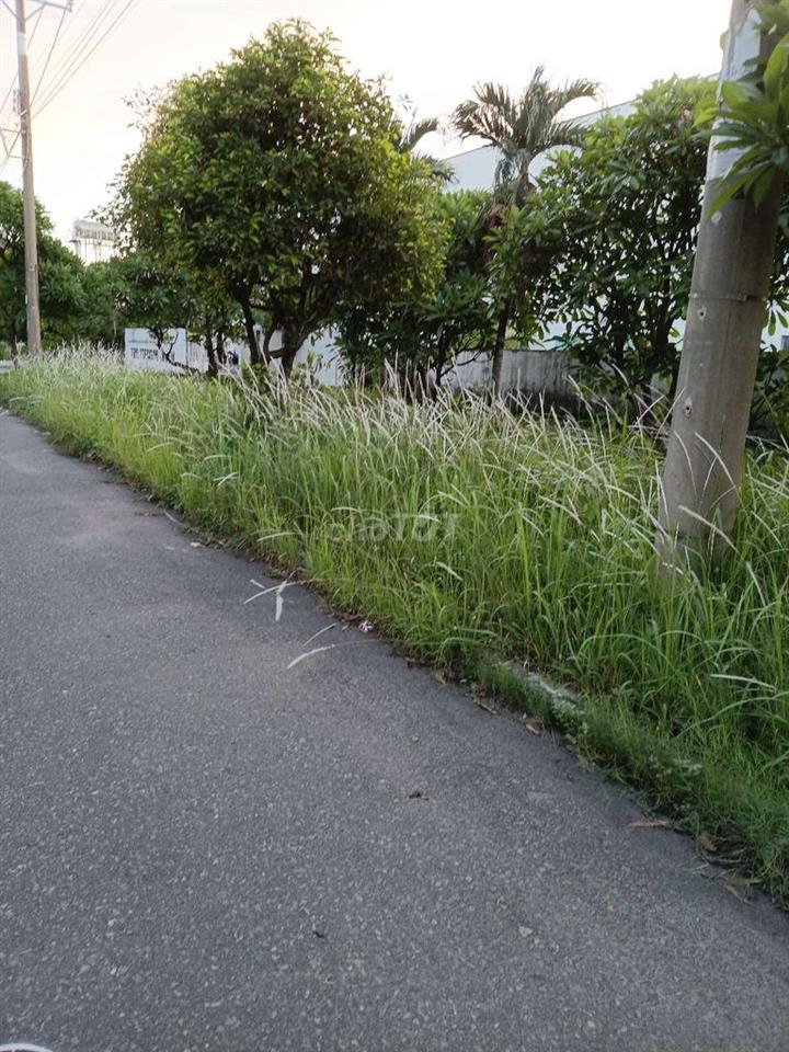 bán  đất  cần  giờ 