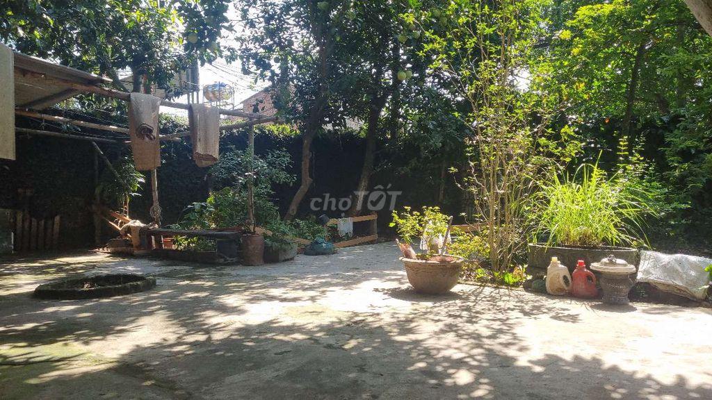 Cho thuê phòng trọ 20m2