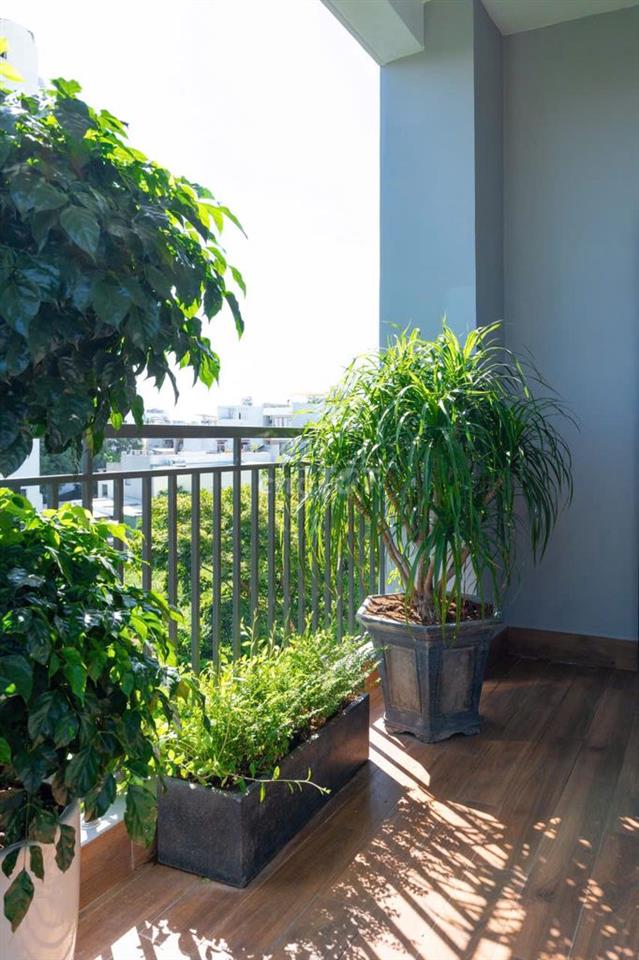 ✨ CĂN HỘ 1 PHÒNG NGỦ | ĐƯỜNG HỒ XUÂN HƯƠNG ✨