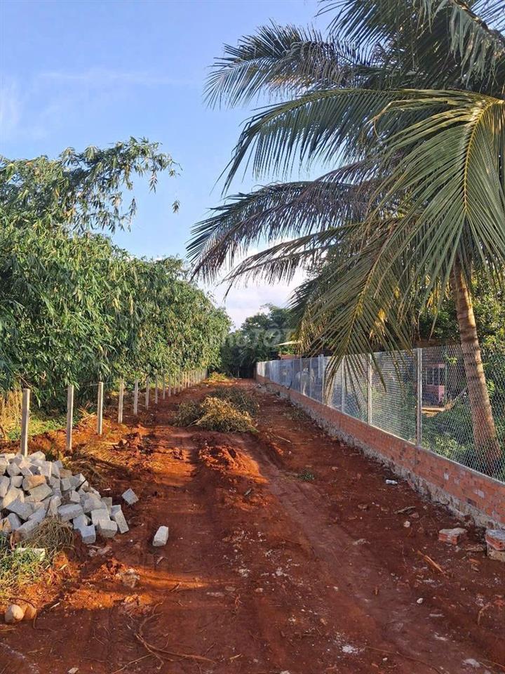 [CHÍNH CHỦ] BÁN ĐẤT MẶT TIỀN QL 52  Hòa Long 