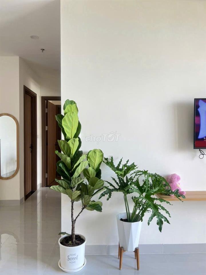 CHO THUÊ ~1PN-1WC~ CÓ MÁY LẠNH 5TR5