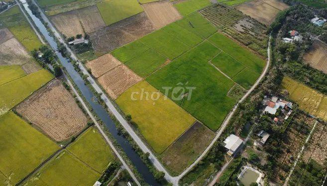 Đất nông nghiệp lớn gần chợ Hiệp Phước mới