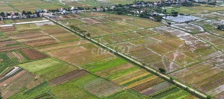 Đất nông nghiệp lớn gần chợ Hiệp Phước mới
